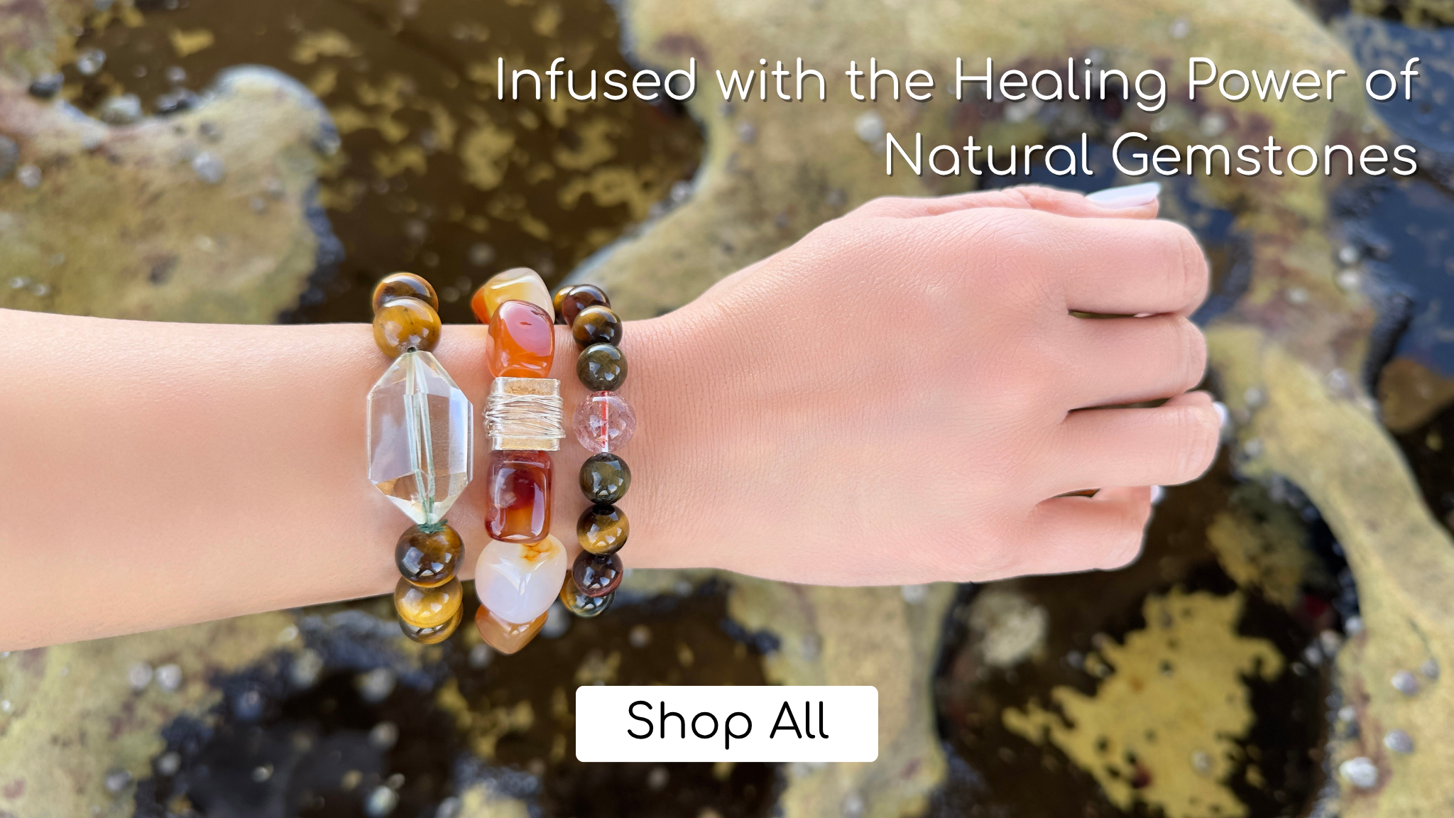 Shop All 2