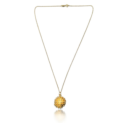 Protection Pendant with Gold Porcupine