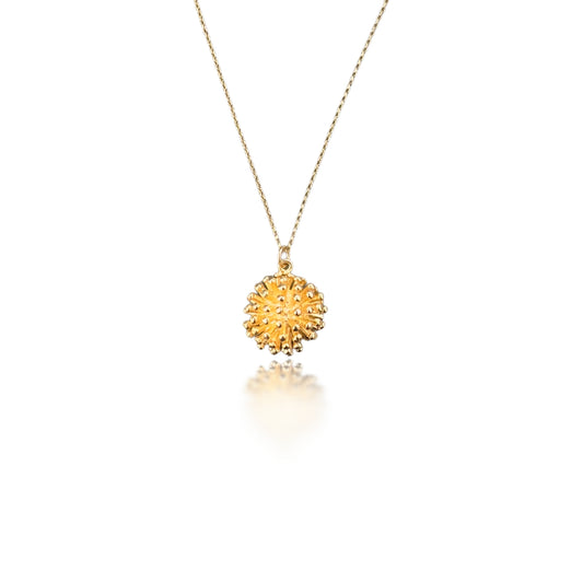 Protection Pendant with Gold Porcupine